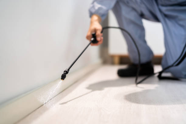 Licensed Fumigation Services service in Brawley, CA - Nex Pest Control