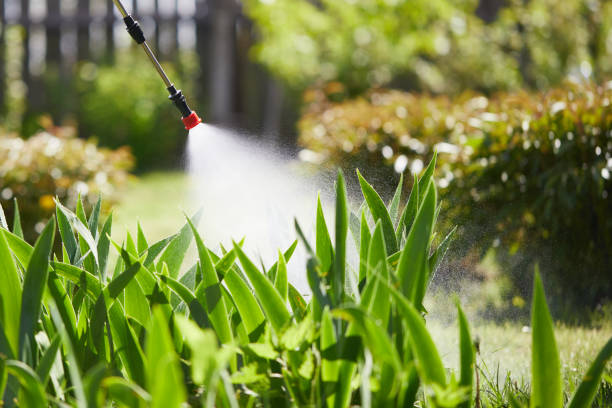 24/7 Emergency Fumigation Services experts in Brawley, CA